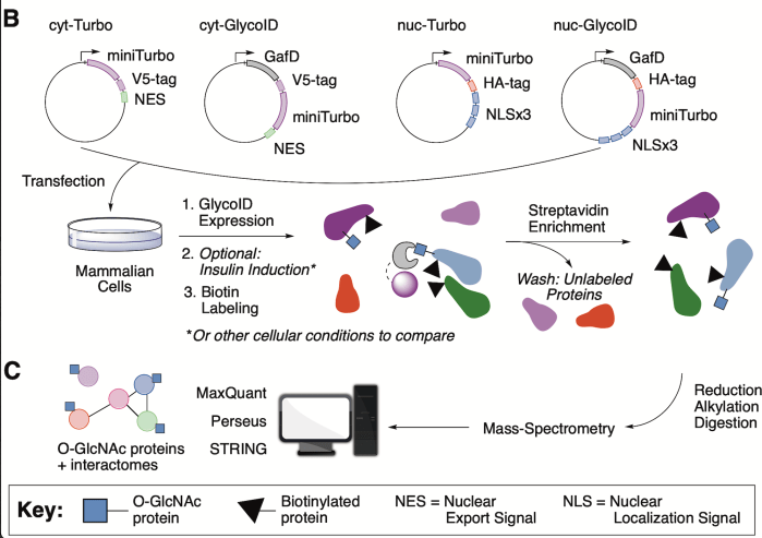Screen Shot 2024-04-16 at 2.57.44 PM